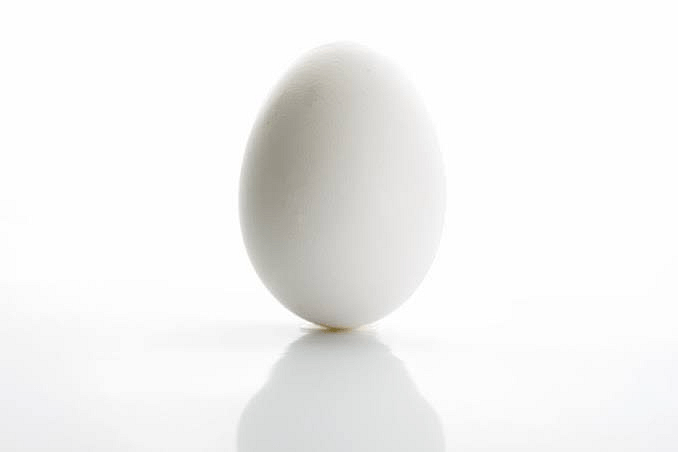Egg - Sentient egg